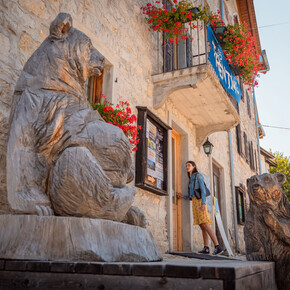 A Museum in the Woods