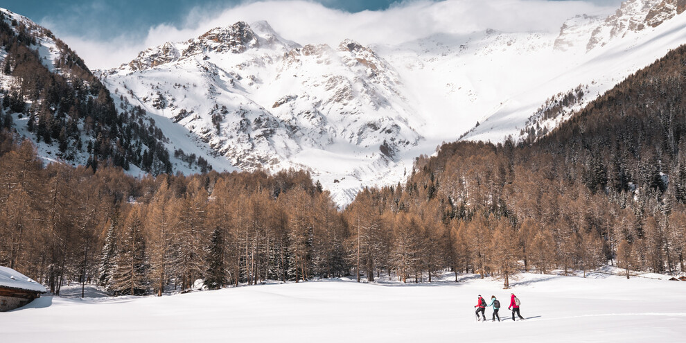 Discovering the Stelvio Nation Park