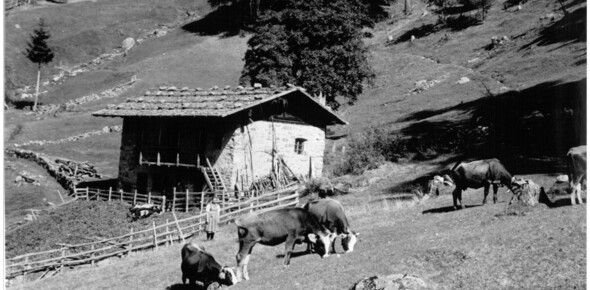 Musils Trentino | © Istituto Culturale Mocheno - Thien Günther 