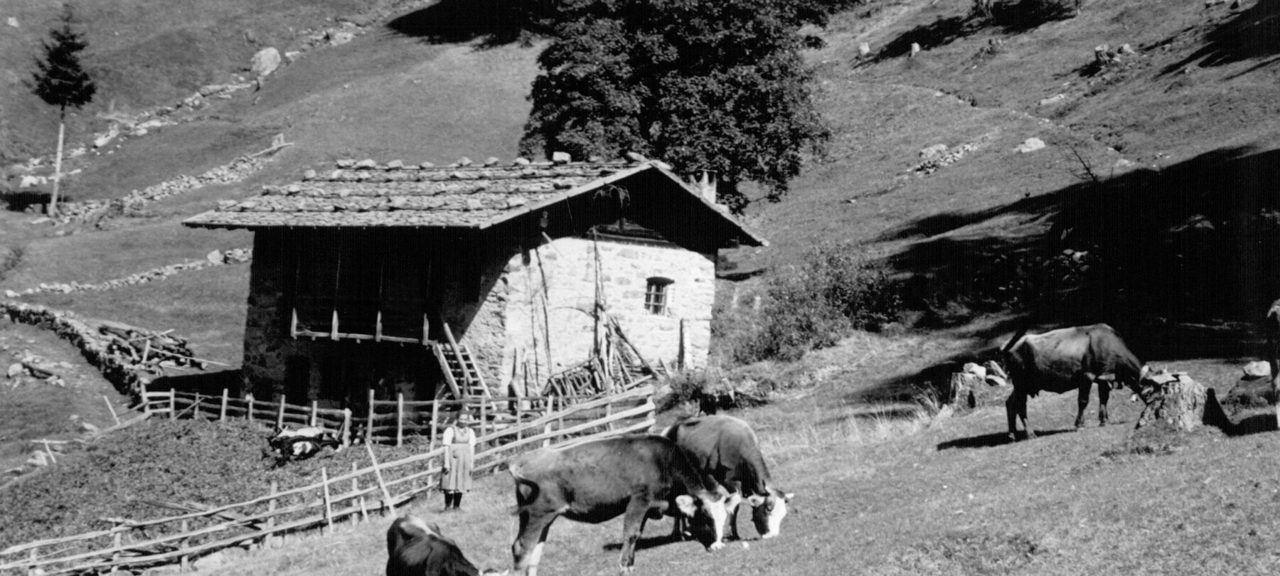 Robert Musil e la Valle Incantata: dove nacque “Grigia” | © Istituto Culturale Mocheno - Thien Günther 