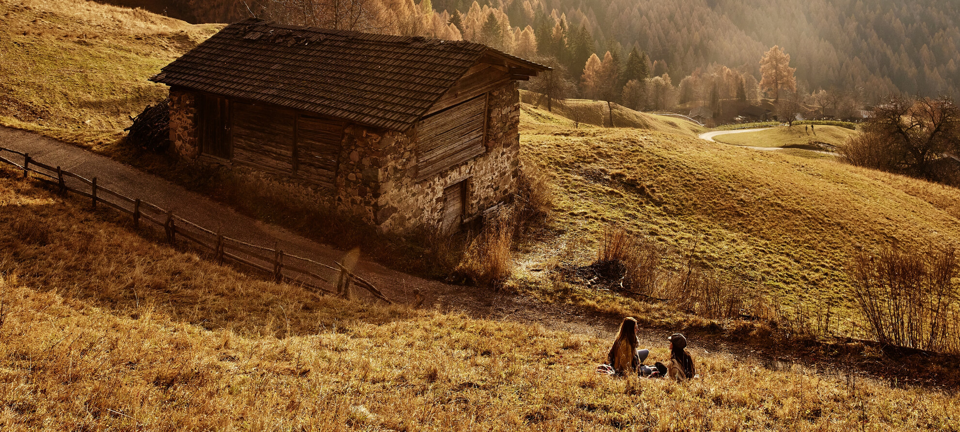 V jakém jazyce sníš?