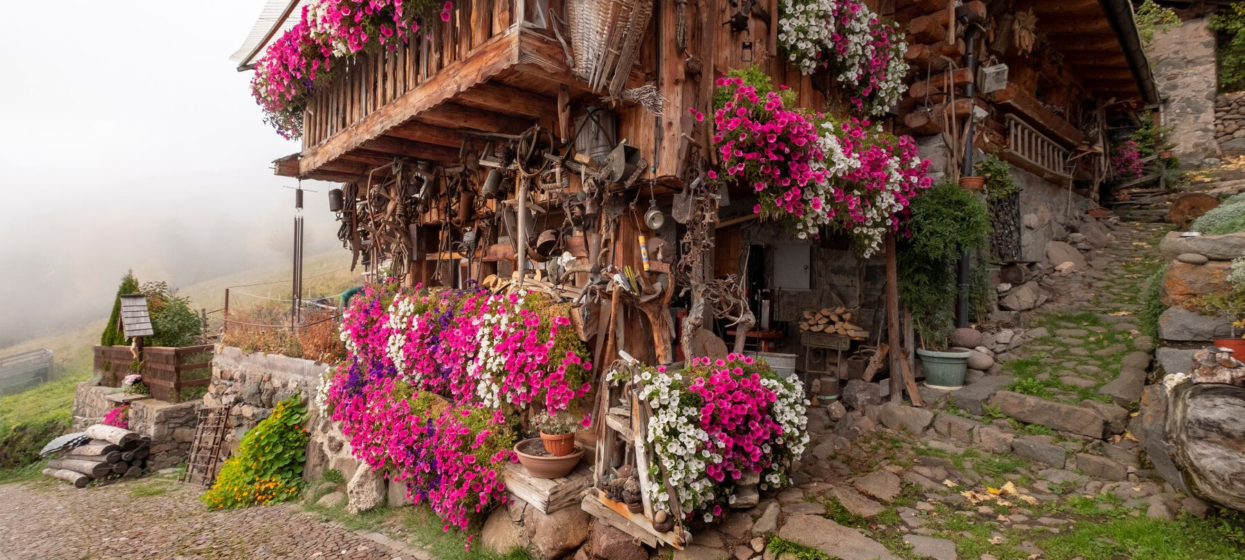 W Valle dei Mòcheni każde gospodarstwo ma cenny ogród