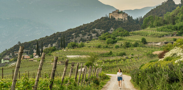 GardaTrentino-ValledeiLaghi-Madruzzo-AzAgrPravis_LucaRotondo_48508 | © GardaTrentino-ValledeiLaghi-Madruzzo-AzAgrPravis_LucaRotondo_48508
