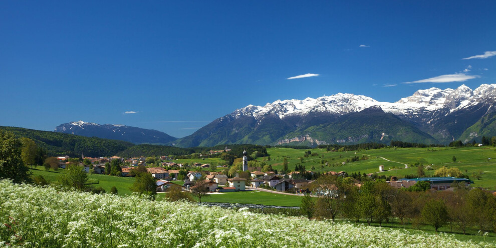 Parco Arte Pineta, Val di Non