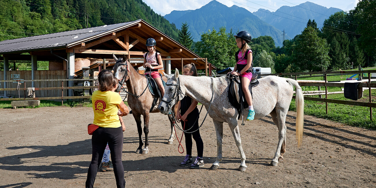 Riding stables and equestrian center - Azienda agricola Gottardi Lara #1