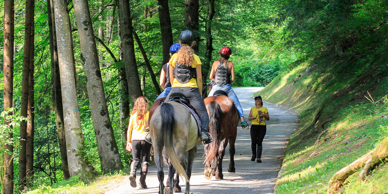 Riding stables and equestrian center - Azienda agricola Gottardi Lara #2