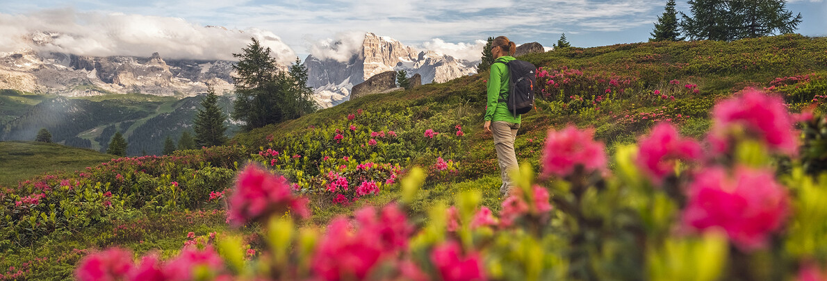 Olympic and Paralympic Winter Games Milano Cortina 2026 in Val di Fiemme, Trentino