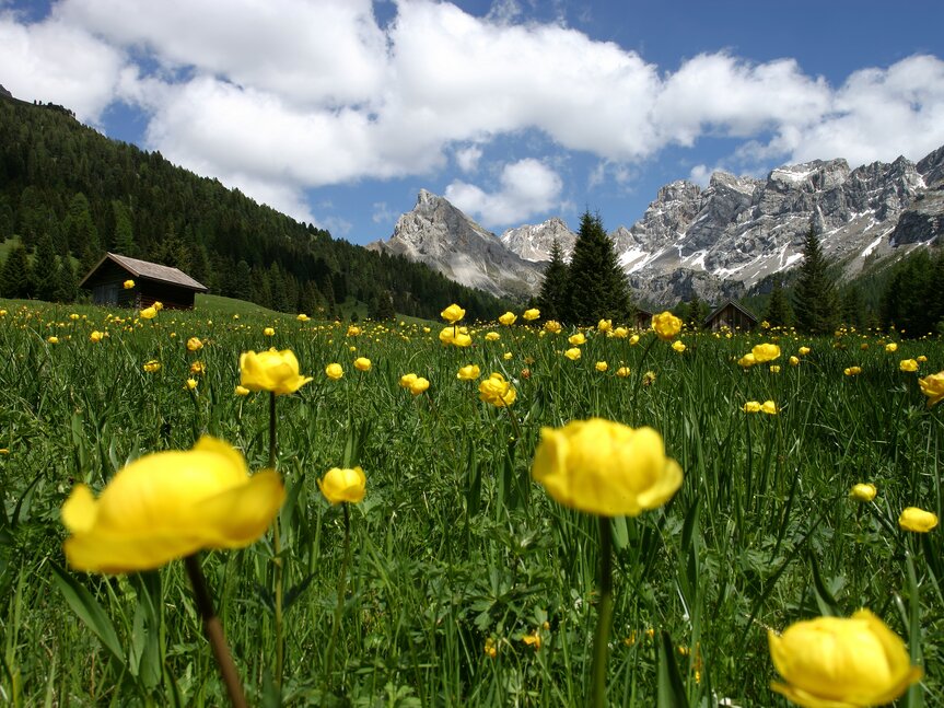 Reservatnetz - Val di Fassa | © Archivio Immagini ApT Val di Fassa - Foto di Nicola Angeli