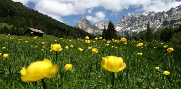 Rete di Riserve della Val di Fassa | © Archivio Immagini ApT Val di Fassa - Foto di Nicola Angeli