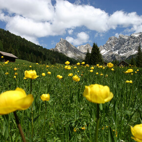 Reservatnetz - Val di Fassa | © Archivio Immagini ApT Val di Fassa - Foto di Nicola Angeli