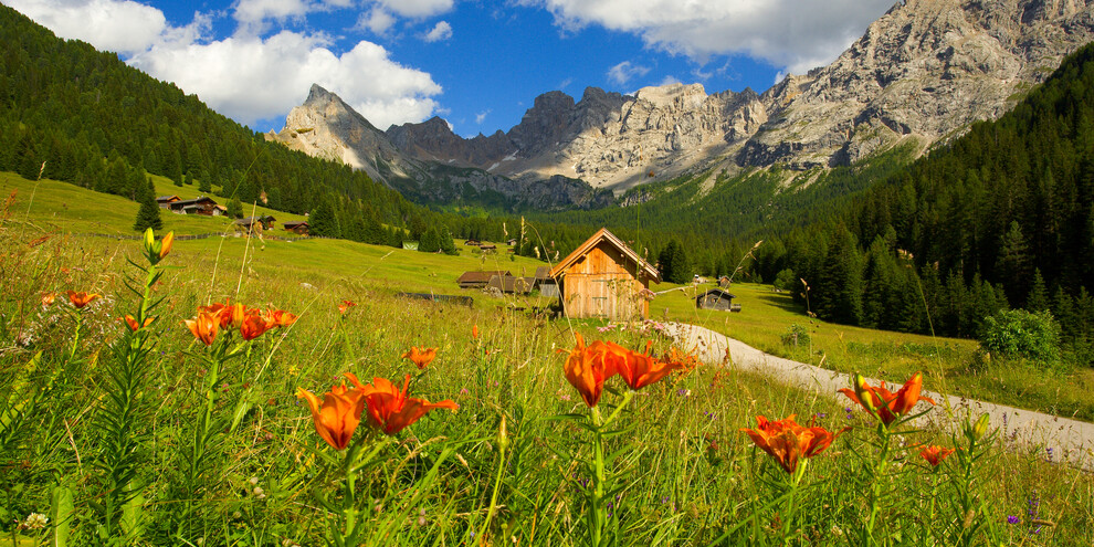 Navštivte síť rezervací Val di Fassa | © Archivio Immagini ApT Val di Fassa - Foto di Nicola Angeli