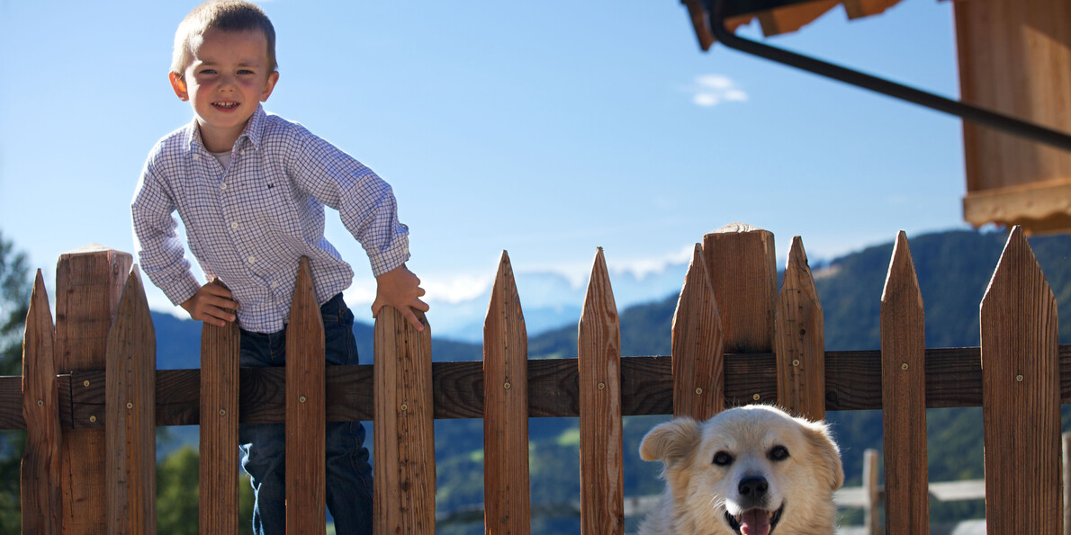 Con il cane sui mezzi pubblici | © Fototeca Trentino Sviluppo S.p.A.