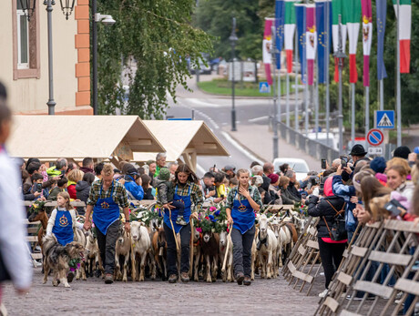 Desmontegada Caore 2