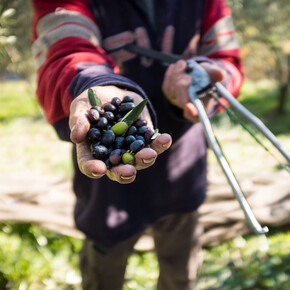 Geschmackserlebnisse