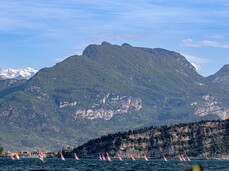 IQ FOIL Y&J International Games