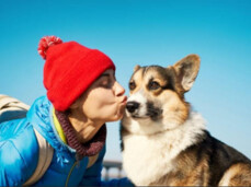 Maratona a sei zampe