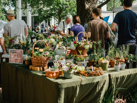 Market in Pieve di Ledro