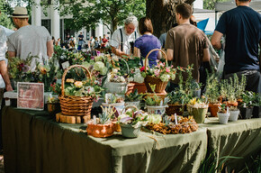 Market in Pieve di Ledro