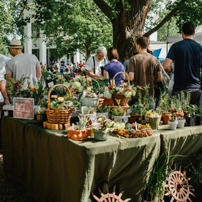 Market in Pieve di Ledro