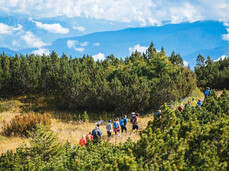 Un gruppo di escursionisti cammina in fila indiana su un sentiero che attraversa un altopiano ricoperto da una fitta vegetazione di pini mughi. Sullo sfondo si apre un ampio panorama di valli e montagne avvolte dalle nuvole.