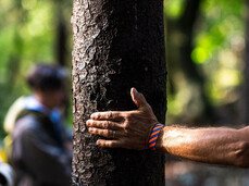 Primo piano della mano di una persona che tocca la corteccia di un albero, in un gesto che esprime connessione con la natura, tipico del forest bathing. Sullo sfondo, altre persone del gruppo sono visibili in modo sfocato, all'interno di una foresta.