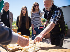 Spargel, von der Erde auf den Tisch