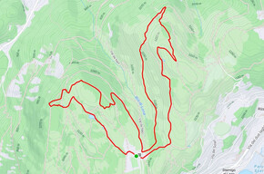 Bedolpian2Run – Der Waldstaffellauf