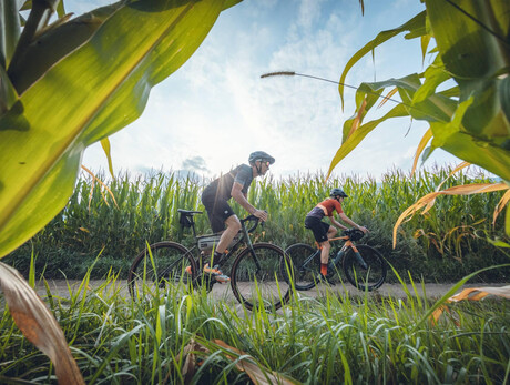 Bike Festival - Gravel Ride