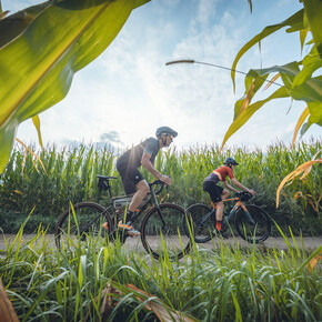 Bike Festival - Gravel Ride