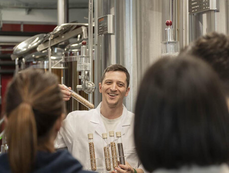 Beer and Flavours of the Dolomites