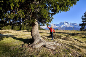 JUNIOR PARK – Mysterious Tracks: Guess the animal!