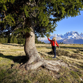 JUNIOR PARK – Mysterious Tracks: Guess the animal!