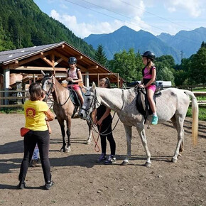 Beyond the Saddle: a winter morning with horses and artisan flavors