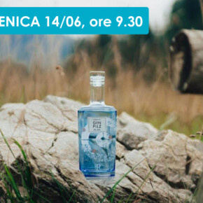 PASSEGGIATA E APERI-GIN