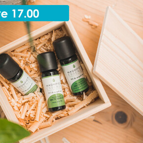 PROFUMI DI FIEMME: DAL BOSCO A CASA TUA 