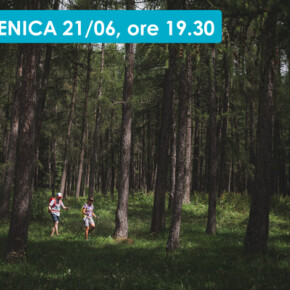 SOLSTIZIO D'ESTATE NEI PRATI DELLE GANZAIE