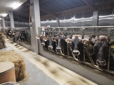 Tra animali e sapori all’Azienda Agricola La Cugna