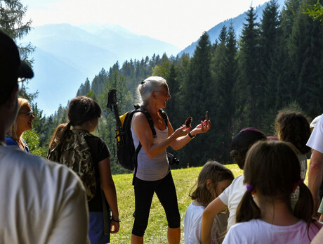 Exploring the Silver Mine of Rumo