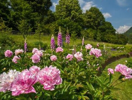 Cultural Tour of the Garden of Europe