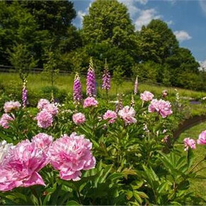 Cultural Tour of the Garden of Europe