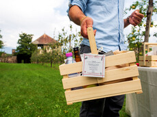 Visita e picnic sull'erba nei giardini di Castel Nanno