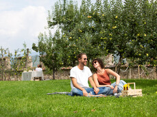Visita e picnic sull'erba nei giardini di Castel Nanno