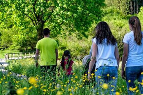 Experience Tesino: A Hike Through the Magnificent Landscapes of Tesino