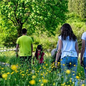 Experience Tesino: A Hike Through the Magnificent Landscapes of Tesino