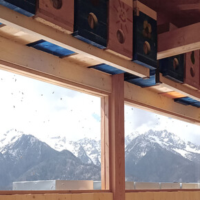 From the woods...to a beehive