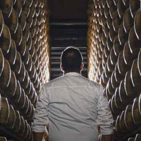 The scent of tradition: in the cheese vault