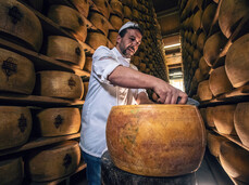 The scent of tradition: in the cheese vault