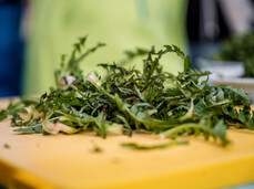 MASTERCLASS DI TARASSACO: DAL PRATO AL PIATTO