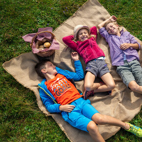 Judicaria Eco Festival