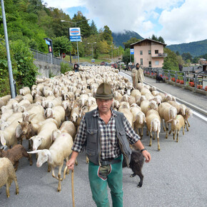 Festa della Transumanza 